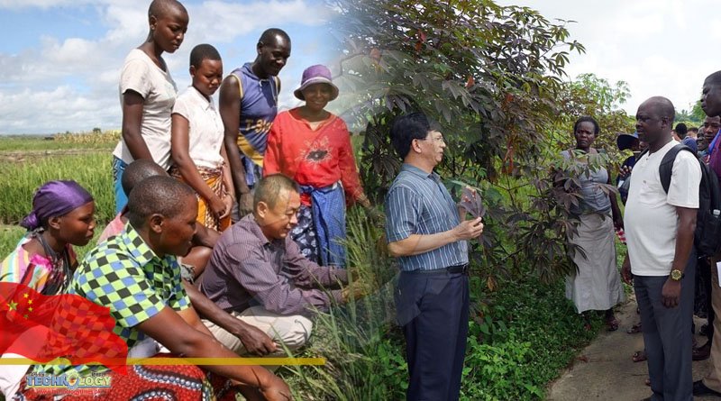 China Africa agricultural cooperation to fight poverty is on rise