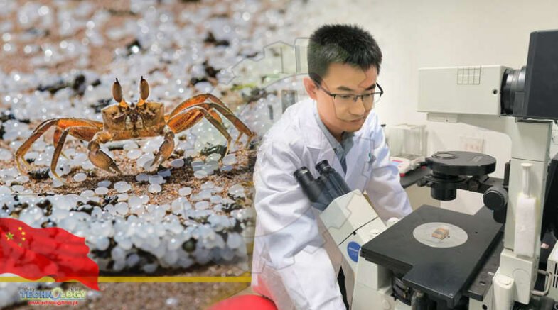 China Develops Micro-Robot To Clean Water From MNPs