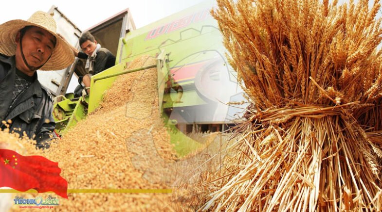 China's per capita grain supply is much higher than the international food security standard