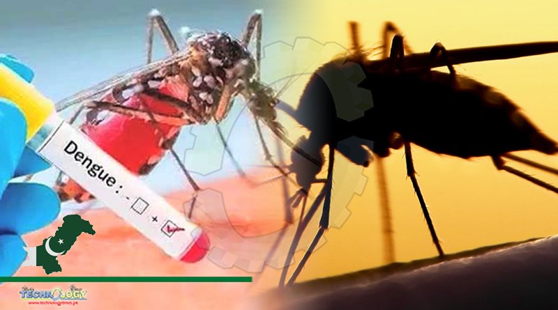 Dengue Weakens In Islamabad With The Drop In Mercury