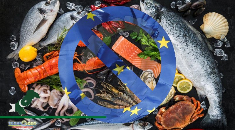 Export of seafood to EU countries: Ambassador designate promises all-out efforts to get ban lifted