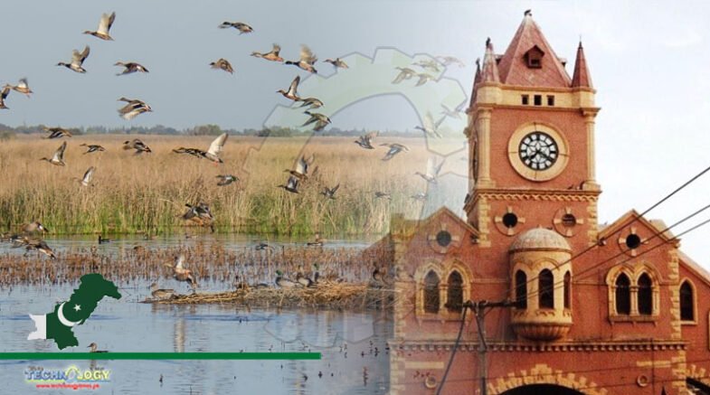 Housing developers have their eye on wetlands of Hyderabad