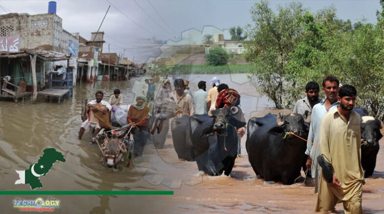 IAEA-FAO Emergency Support Pakistan to assist floods impact on soils, crops and the potential spread of animal and zoonotic diseases