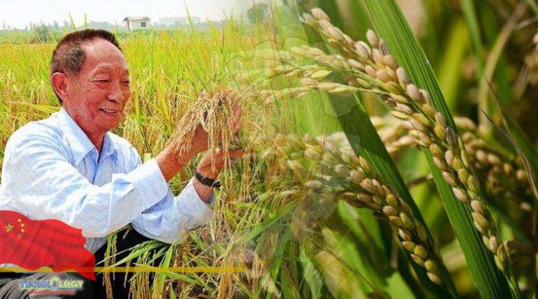 International Forum on Hybrid Rice Assistance and Global Food Security held at Beijing