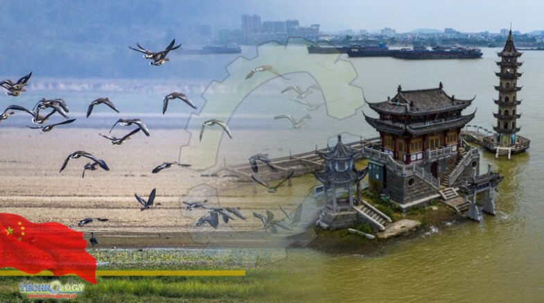 Measures taken to protect Migratory Birds of Poyang Lake flood area