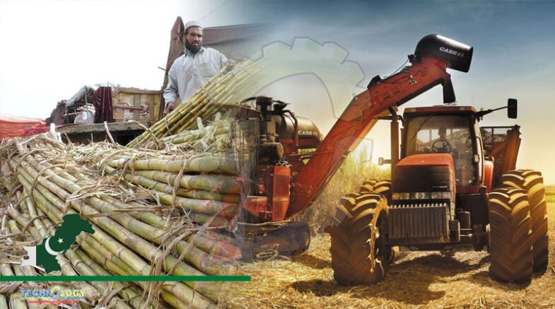 Mechanized Farming Can Enhance Sugarcane Production