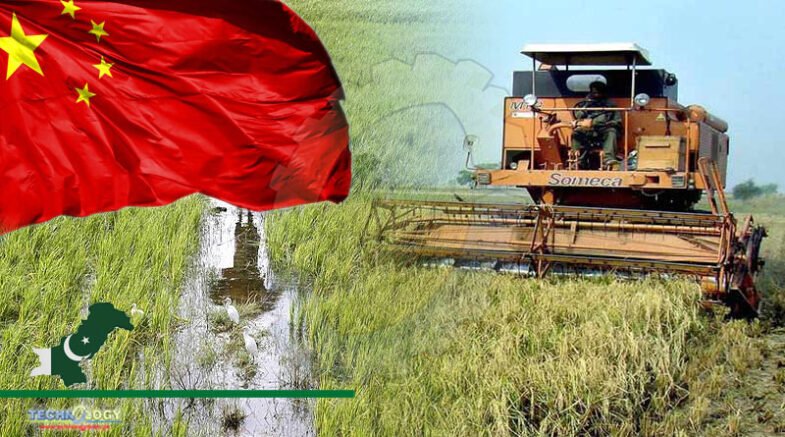 Pakistan Needs China's Help To Modernise Agriculture Sector