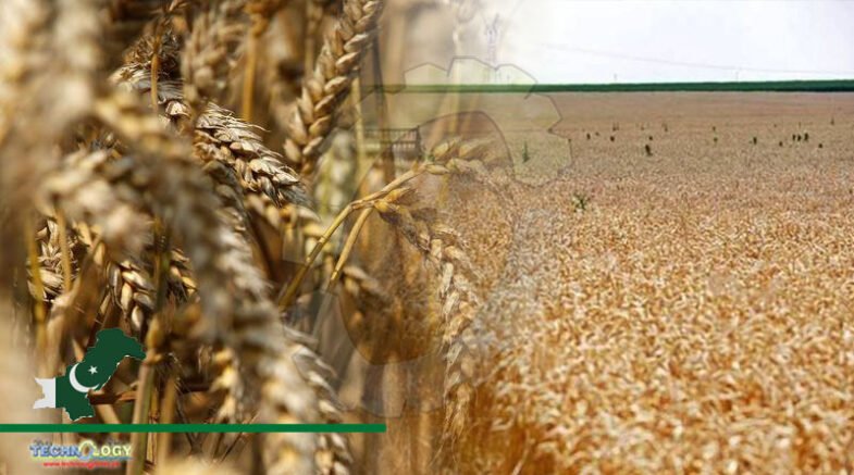 Punjab Govt. Provides Subsidy On Wheat Seed & Agri Tools
