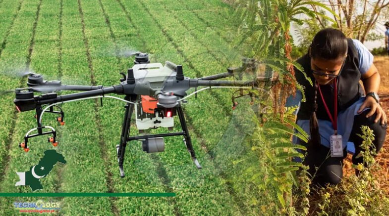 Sino-Pak Dual Diploma Programme In Modern Agriculture Technology Launched