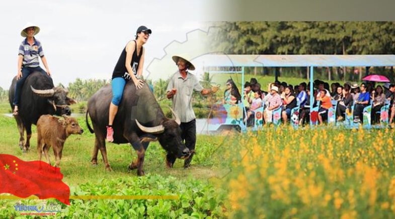 Agriculture and rural tourism changing SE China's cities