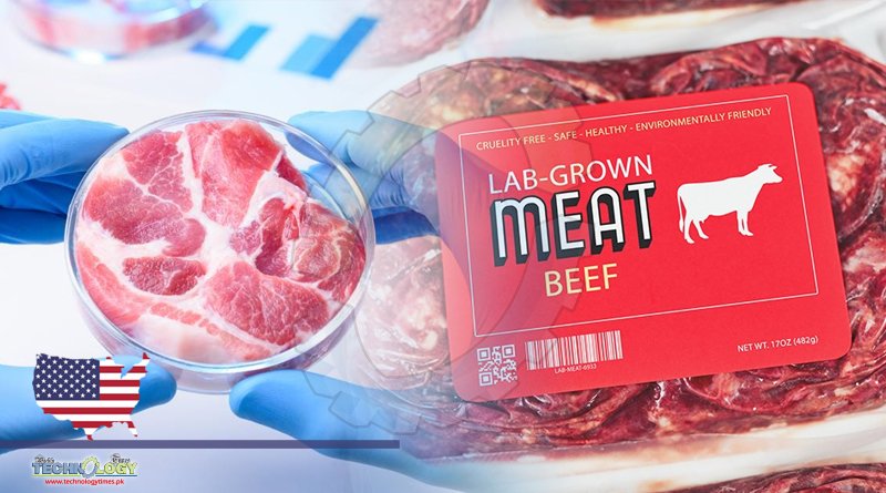 Believer Meats Breaks Ground On Largest Cultured Meat Facility In US