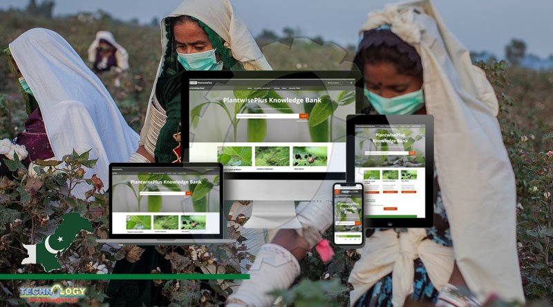 CABI To Launch PlantwisePlus Program Aims To Improve Food Security