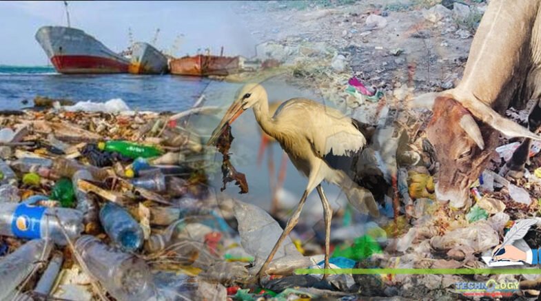 Campaign Against Plastic Pollution, Nothing But A Cosmetic Arrangement
