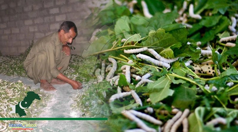 Capacity Building Awareness Workshop Of Sericulture Farmers Concludes
