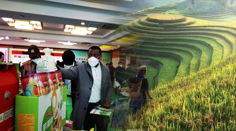 Gansu Displays High Quality Agricultural Products During Fair