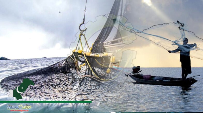 Experts Stress To Collect Fisheries Data With Latest Digital Technology