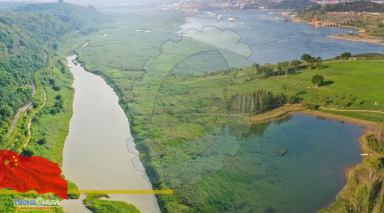 Flood tolerant plants restore ecosystem on mega isle of Yangtze River