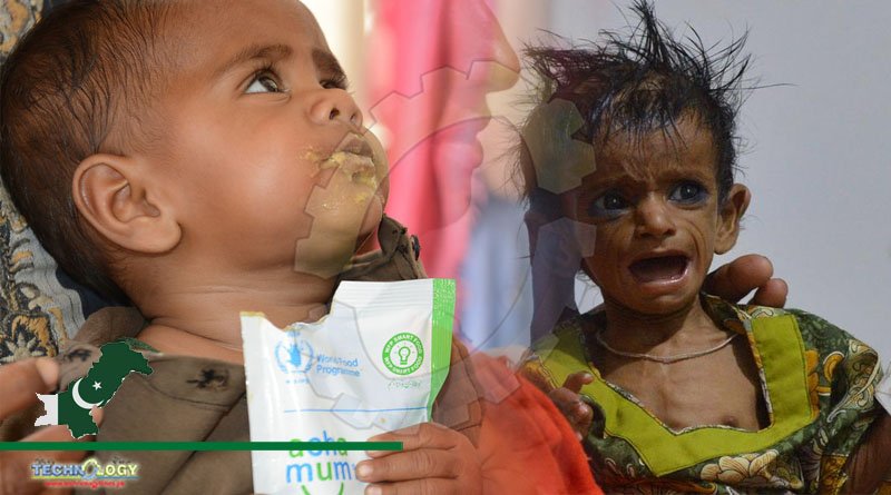 PMNS To Define Roles Of Stakeholders To Lower Malnutrition Burden