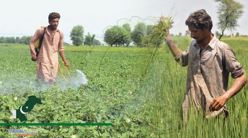 Karandaaz, GrowTech Help To Digitise Agricultural Value Chain