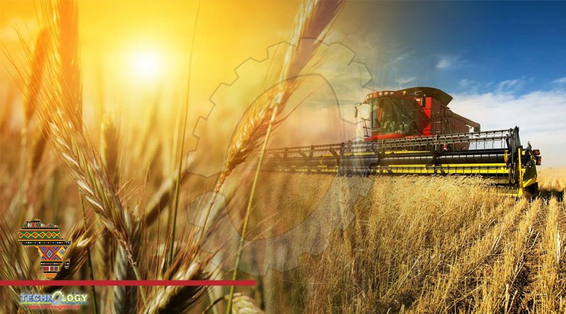 Wheat Production In Zimbabwe Achieves Milestone 