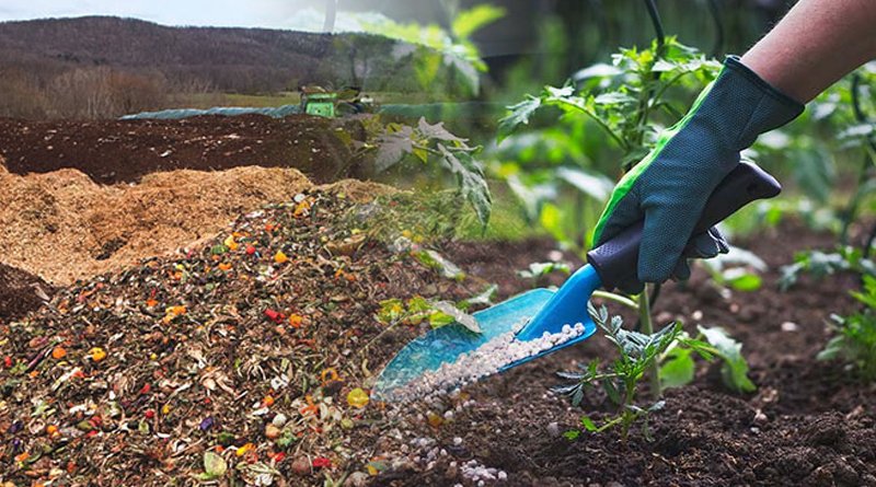 Chinese Scientists To Transform Waste Into Green Organic Agriculture 
