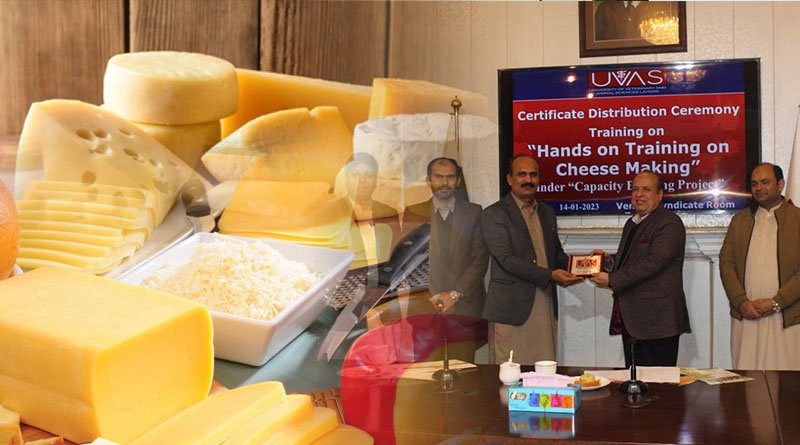 Five Days Hands On Training On Cheese Making Concludes At UVAS