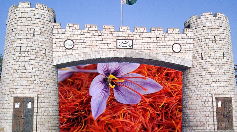 Over 0.1M Acres Land In KP Highly Suitable For Cultivation Of Saffron