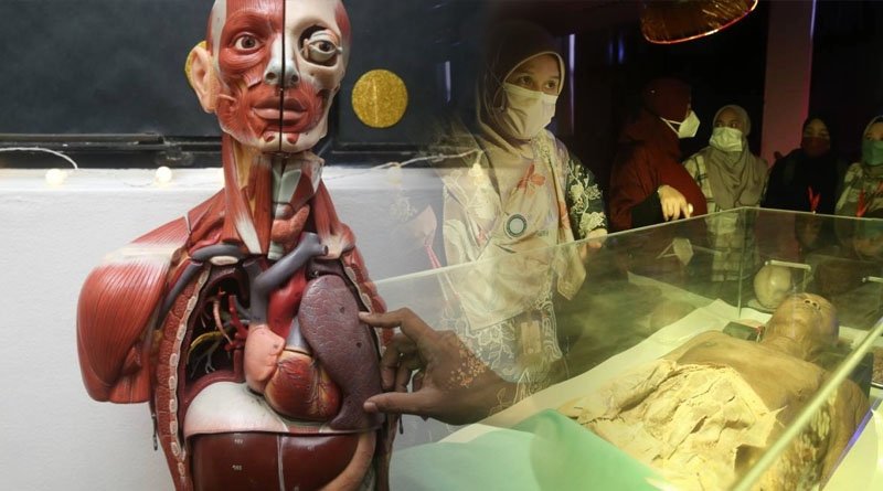 UM's Annual Human Anatomy Expo Open To Public For The First Time