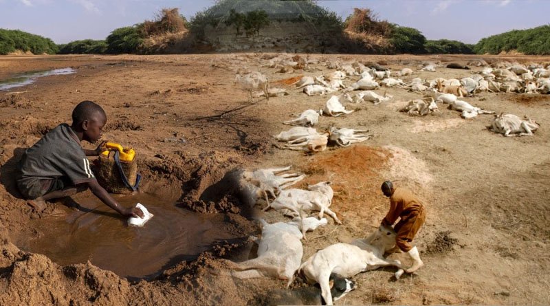 Drought In East Africa Risks Lives Of 22m People