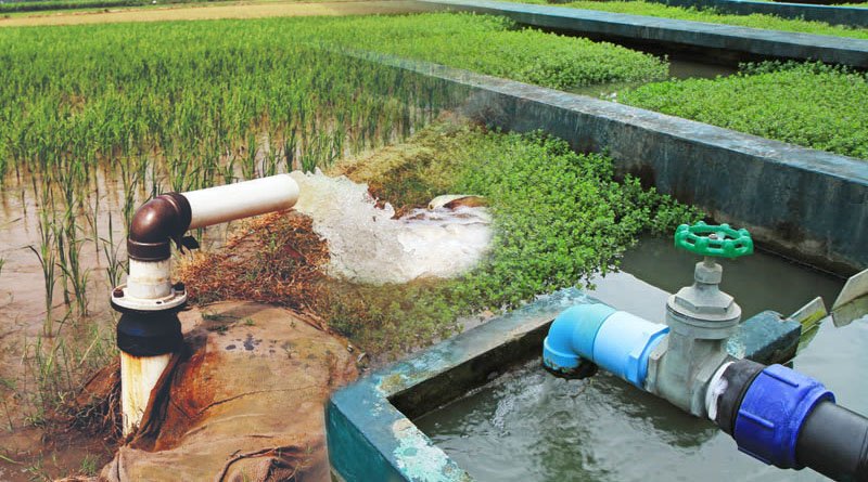Experts Urge To Adopt Treated Wastewater Technology In Agriculture