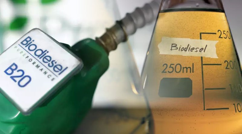 Making Biodiesel - An Eco-friendly Step to Go Green