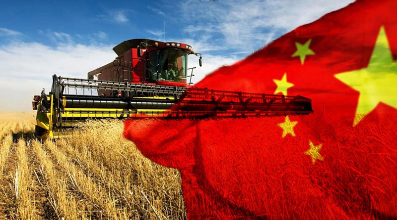 NPC Deputy Sun Bin Helps Promoting Grain Production