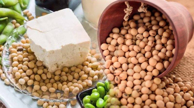 Soybean: A Versatile and Nutritious Legume
