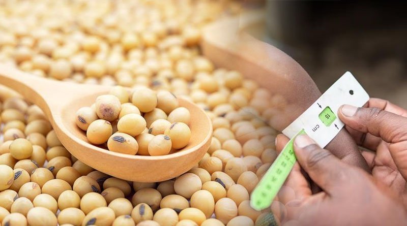 Nutrition Facts, Health Benefits & Effects Of Soybeans