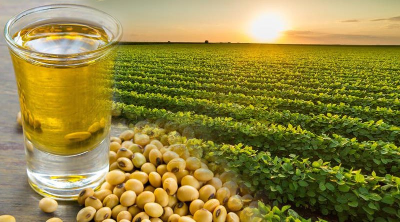 Nutritional Quality And Health Benefits Of Soybeans