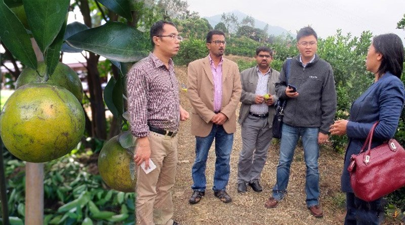 CN, PK Scientists Join Hands To Enhance Pakistan's Citrus Fruits Quality