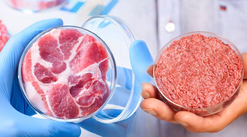 Cell AgriTech To Set Up Malaysia's First Cultivated Meat Production Facility