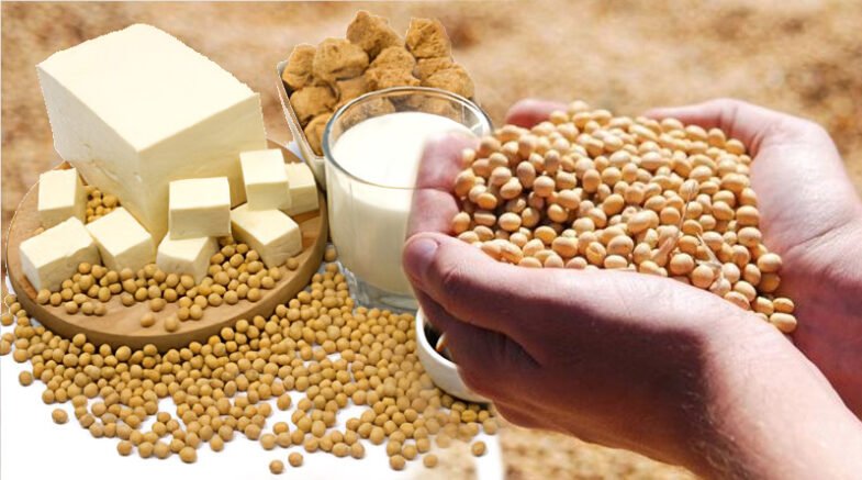 Soya Bean: One Of The Most Consumed Foods In World