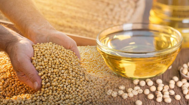 Health Benefits Of An Oil Seed Crop, The Soybean