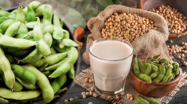 Health Benefits of Soybeans – The Powerhouse of Nutrition