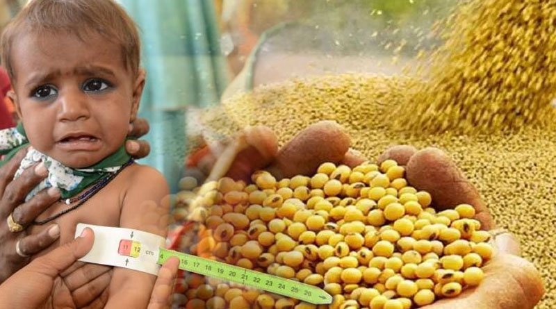 Meat Plant Soybean Owns Ability To Remove Malnutrition Of World