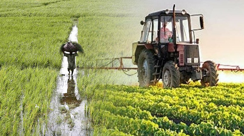 NFS&R Directed To Provide 10 Year Of Agricultural Research Records