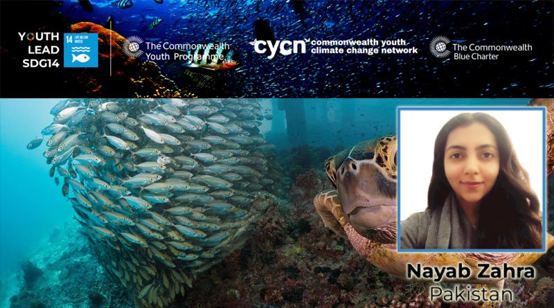 Pakistan's Nayab Zahra Wins Global Competition On Oceans Protection