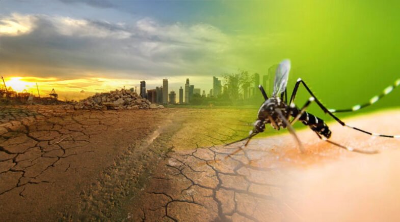 Role Of Climate Change In The Emergence Of Parasitic Diseases