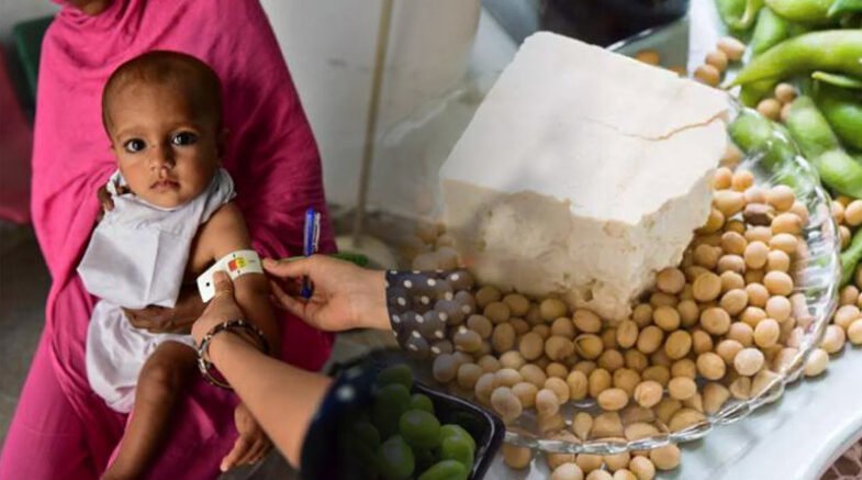Soyabean: Great Source To Overcome Malnutrition Of Pakistan