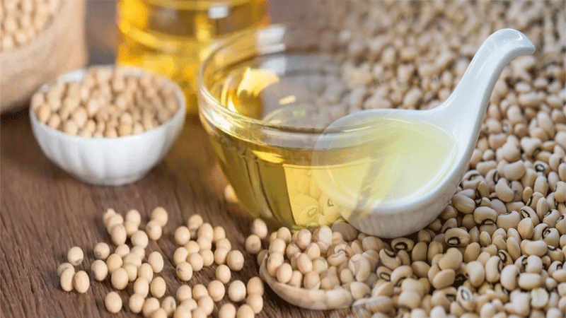 Soybean-Oil-Plays-Beneficial-Part-In-Reducing-Risk-Of-Heart-Disease.gif March 1, 2023