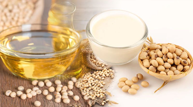 Soybean Possess Different Skin Benefits Act As Beauty Enhancers