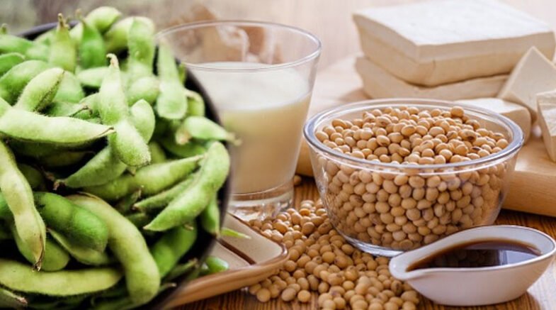 Soybean Utilizations Good Or Bad For Human Health