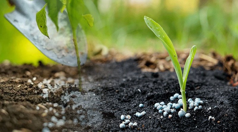US Announces Agriculture Programme To Strengthen Fertilizer Efficiency
