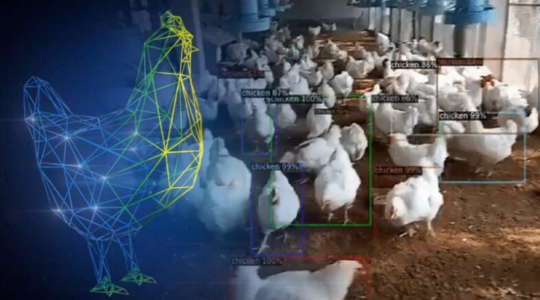 Use Of AI In Poultry Farming Its Applications, Benefits And Challenges.jpg